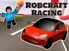 Spil Robcraft Racing