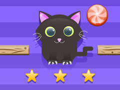 Spil Cat Challenge