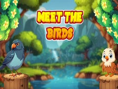 Spil Meet The Birds 