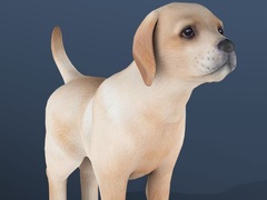 Spil IDLE Pet