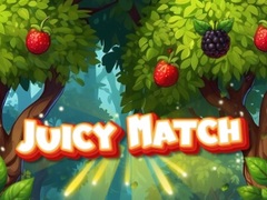 Spil Juicy Match