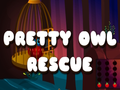 Spil Pretty Owl Rescue