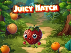 Spil Juicy Match