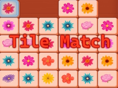 Spil Tile Match