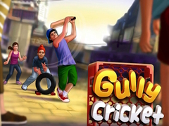Spil Gully Cricket