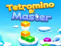 Spil Tetromino Master