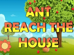 Spil Ant Reach the House