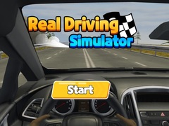 Spil Real Driving Simulator
