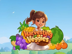 Spil Harvesting Veggies