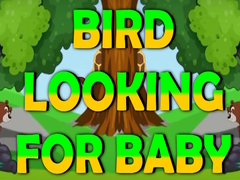 Spil Bird Looking For Baby