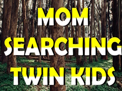 Spil Mom Searching Twin Kids