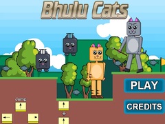 Spil Bhulu Cats
