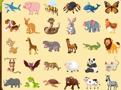 Spil Discover Animals