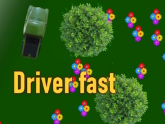 Spil Driver fast