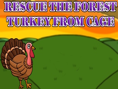 Spil Rescue the Forest Turkey from Cage