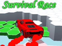 Spil Survival Race