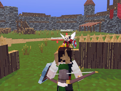 Spil Medieval Arena