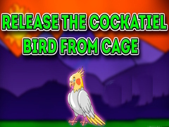 Spil Release the Cockatiel Bird from Cage