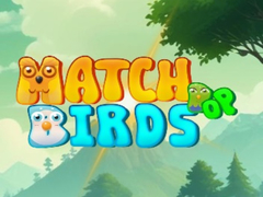 Spil Match Pop Birds