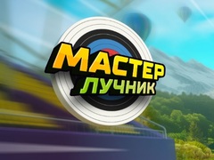 Spil Archery Master