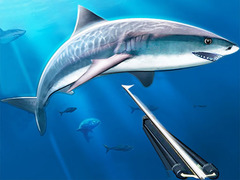 Spil Hunting Underwater Spearfishing