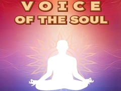 Spil Voice Of The Soul