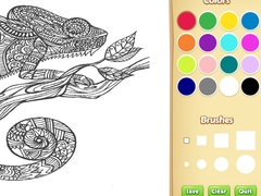 Spil Adult Animal Coloring Book for Kids