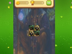 Spil Magic Druid Memory Match