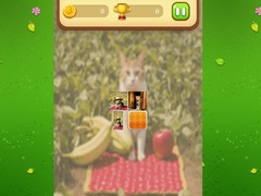 Spil Farm Cat Memory Match