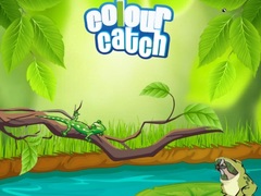 Spil Colour Catch