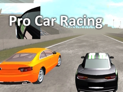 Spil Pro Car Racing