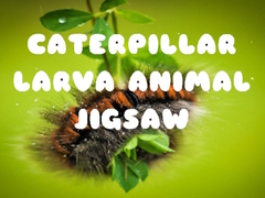 Spil Caterpillar Larva Animal Jigsaw