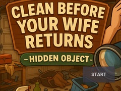 Spil Clean Before Your Wife Returns Hidden Object