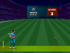 Spil Cricket Night 2