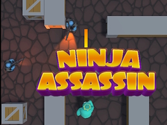 Spil Ninja Assassin
