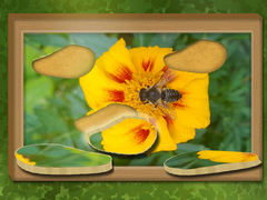Spil Find & Restore: Hidden Puzzle