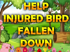 Spil Help Injured Bird Fallen Down