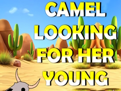 Spil Camel Looking For Her Young