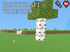 Spil BlockCraft Together