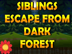 Spil Siblings Escape From Dark Forest