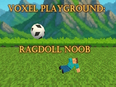 Spil Voxel Playground: Ragdoll Noob