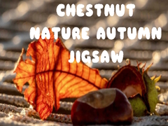 Spil Chestnut Nature Autumn Jigsaw