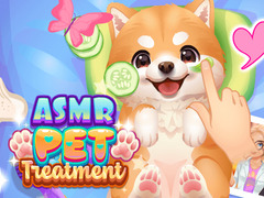 Spil ASMR Pet Treatment