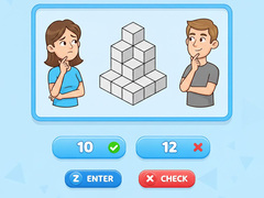 Spil Try To Count The Boxes