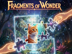 Spil Fragments of Wonder