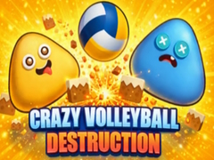Spil Crazy Volleyball Destruction