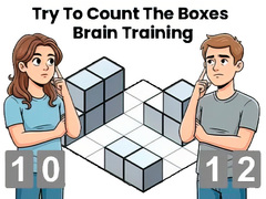 Spil Try To Count The Boxes Brain Training