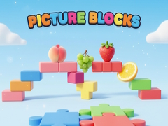 Spil Picture Blocks