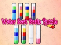 Spil Water Sort Brain Puzzle