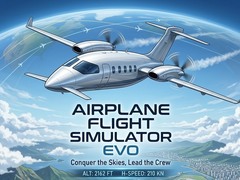 Spil Airplane Flight Simulator EVO